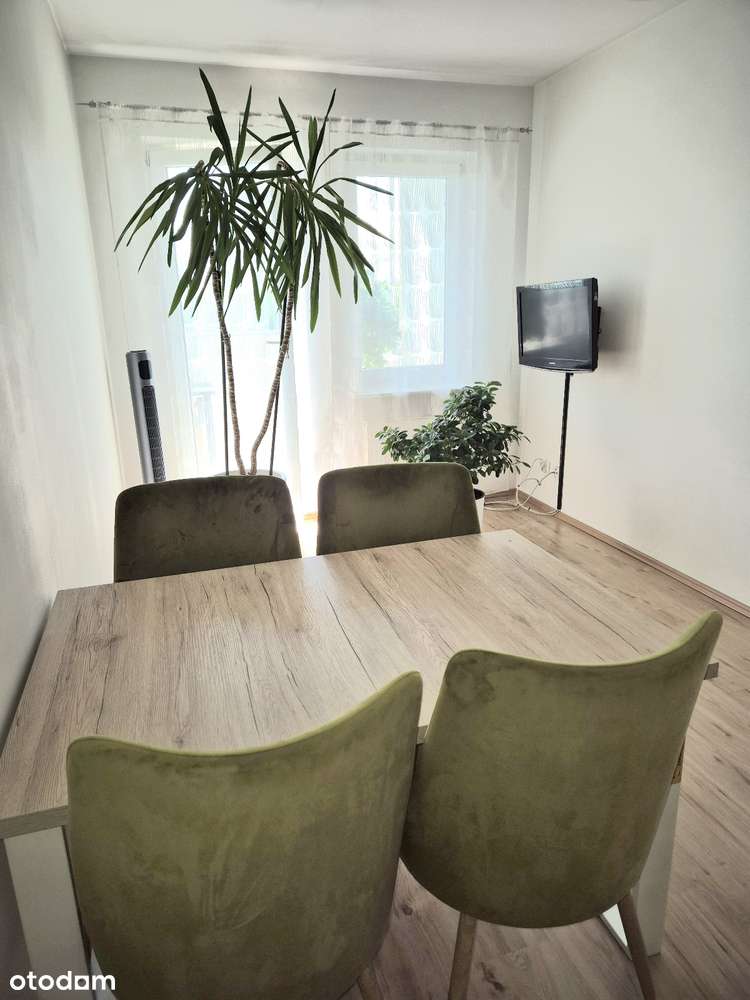 Mieszkanie z dużym ogrodem zimowym - Pełny obrazek: 2/16