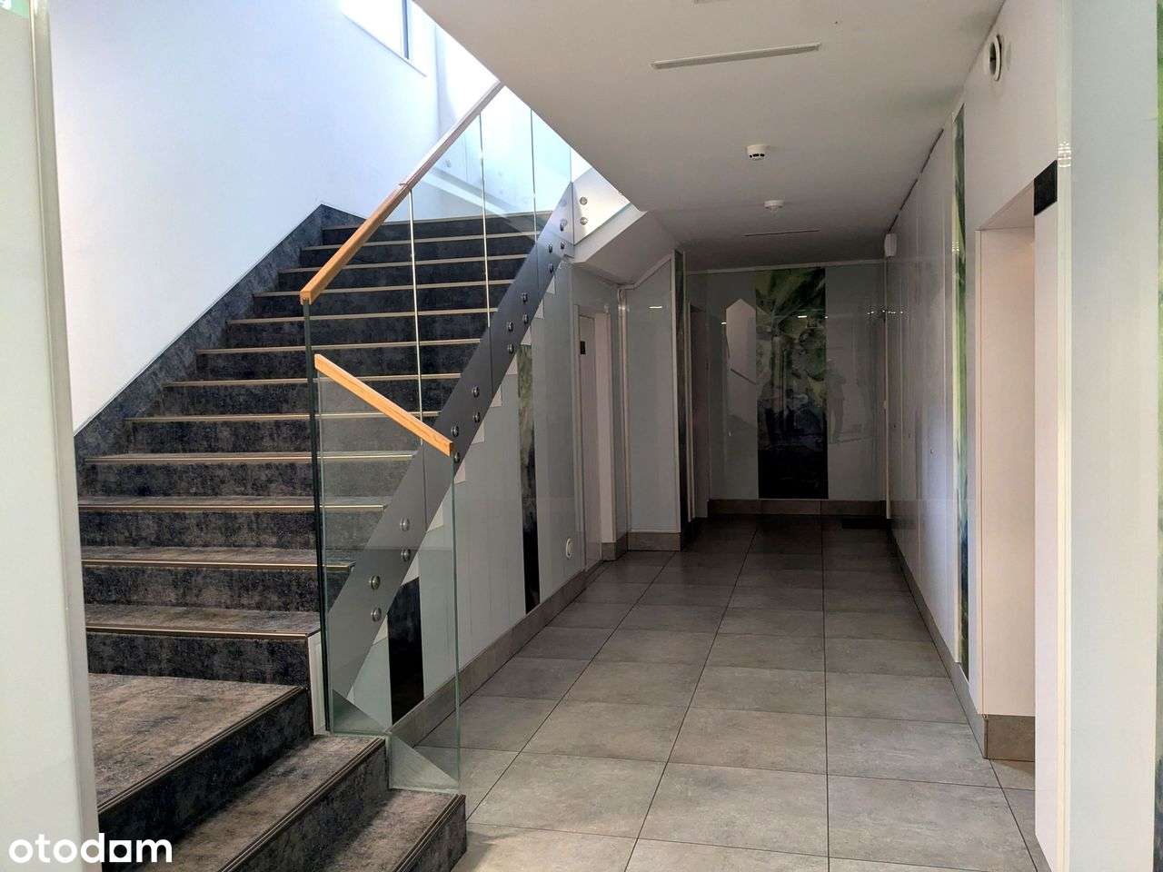 Sprzedam 3 pokojowe mieszkanie Warszawa Aprtamentowiec Saska Kępa - Pełny obrazek: 4/19