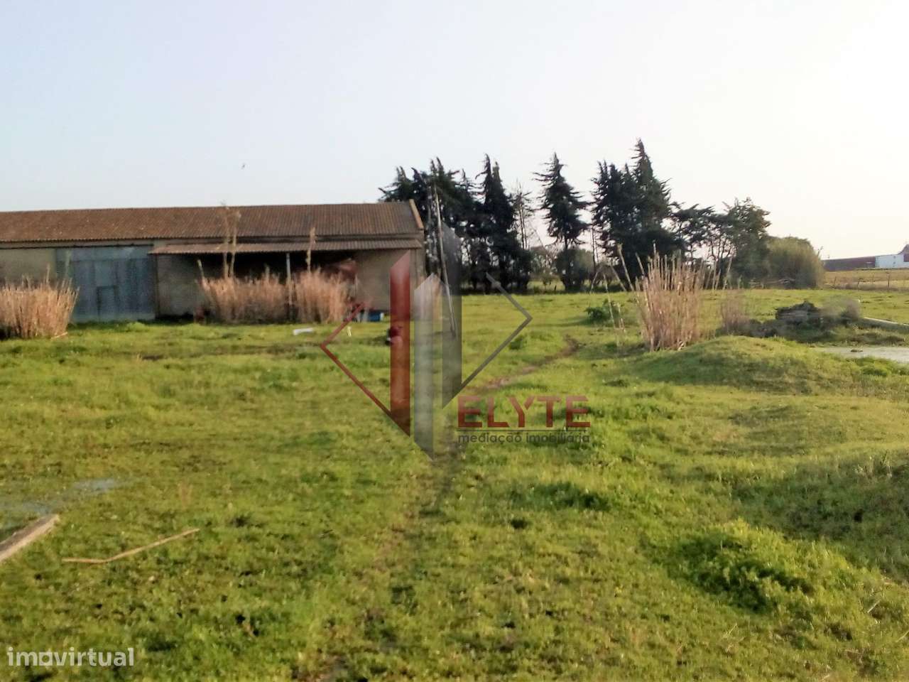 Terreno com armazém em Benavente. - Grande imagem: 2/16