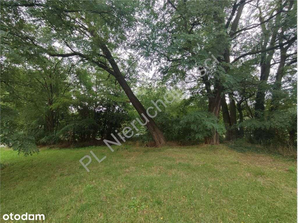 Wyjątkowa działka 2494 m²- prestiżowa lokalizacja-13