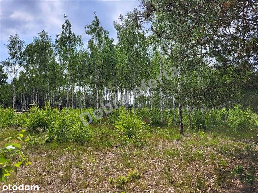 Nowa oferta - dobra cena - miejsce na wypoczynek-9