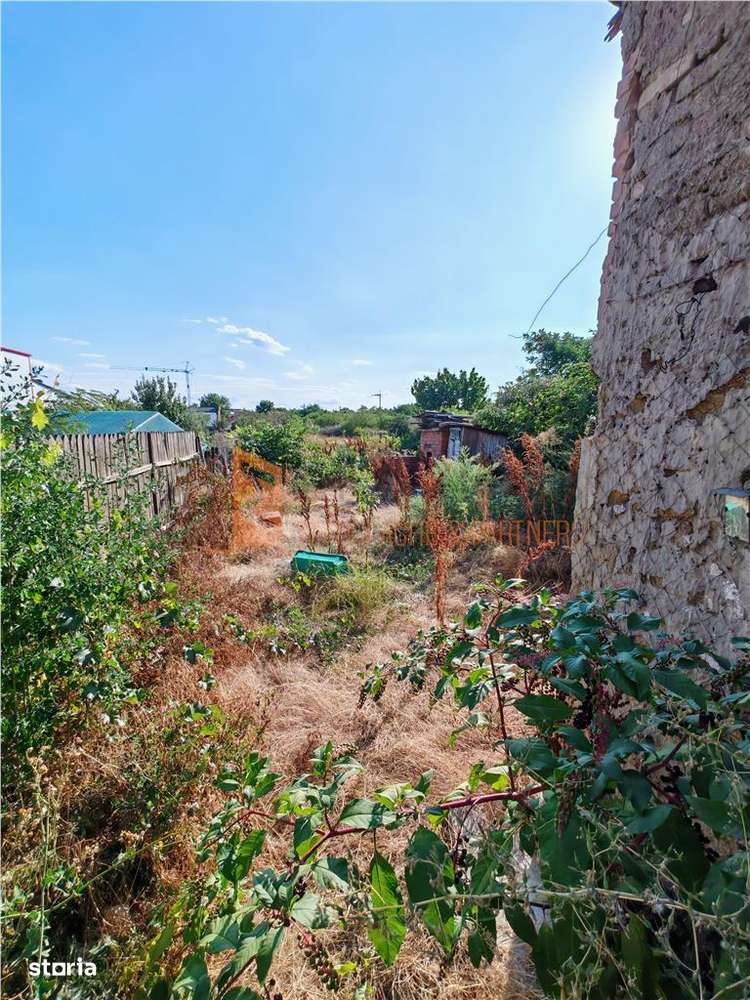 Casa tip parter si teren 677mp in zona Transilvaniei - Imagine principală: 3/3