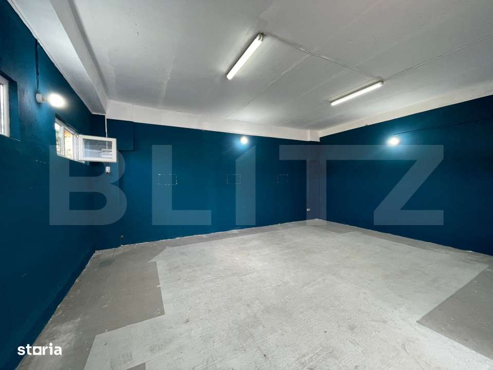 Spatiu industrial de inchiriat – 50 mp utili – zona industriala CE - Imagine principală: 3/3