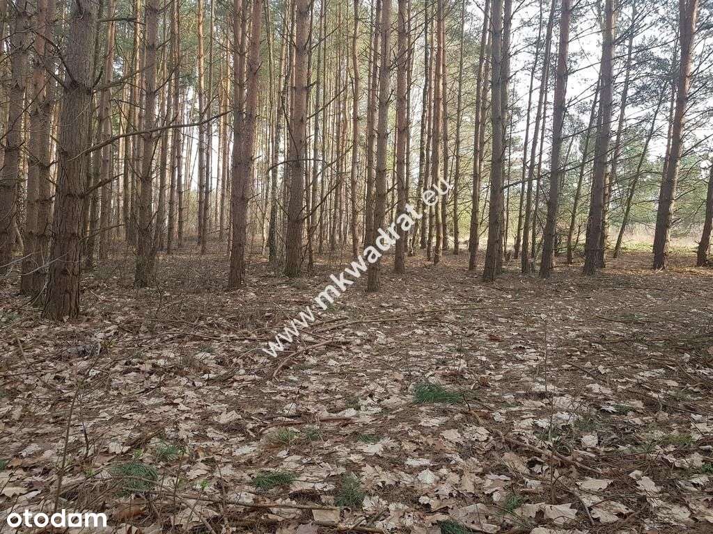 ⭐⭐⭐⭐2500 m2 urokliwa działka przy lesie z Mpzp⭐⭐⭐⭐ - Pełny obrazek: 5/9