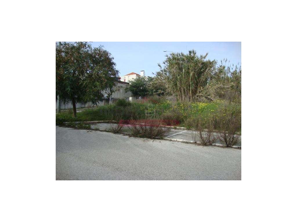 Quatro Lotes para Construção em Altura - Figueira da Foz - Grande imagem: 4/7