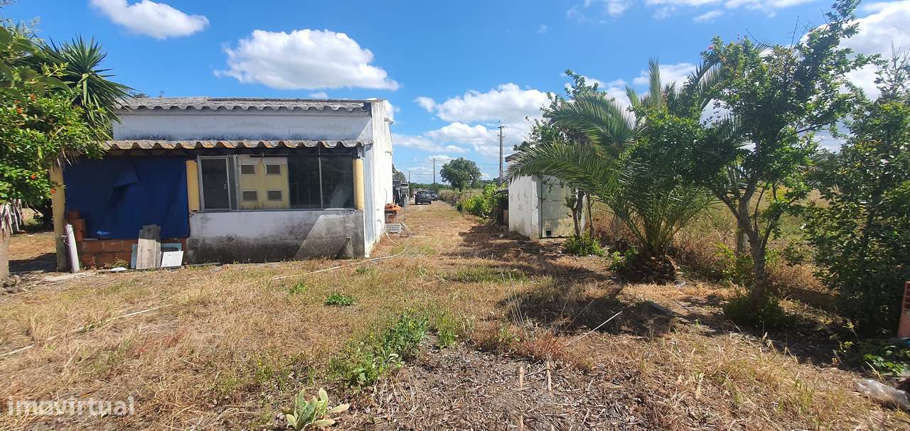 Quinta  5000m2 Viver no Campo Com a Cidade Por Perto Passil Alcochete-11