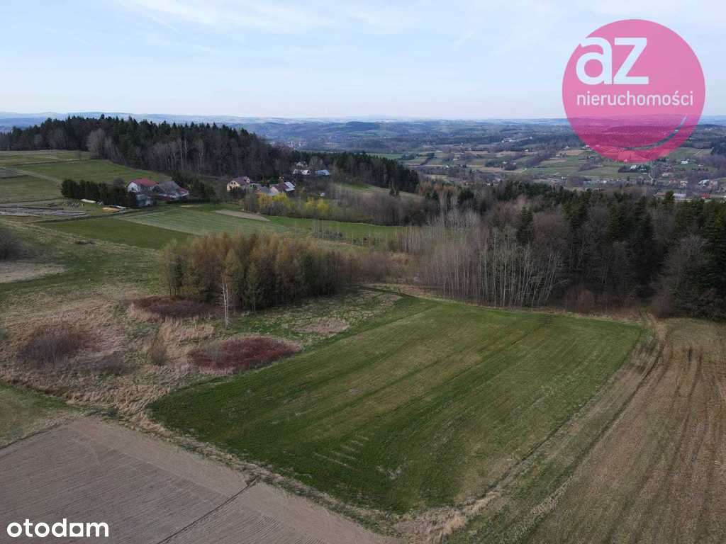 Działka rolna 36ar z możliwością przekształcenia - Pełny obrazek: 5/7