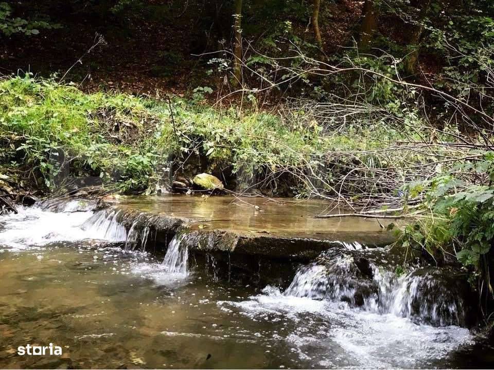 Casa de Vacanta pe Valea Ighielului – 3 camere, 2500 mp curte - Imagine principală: 4/19