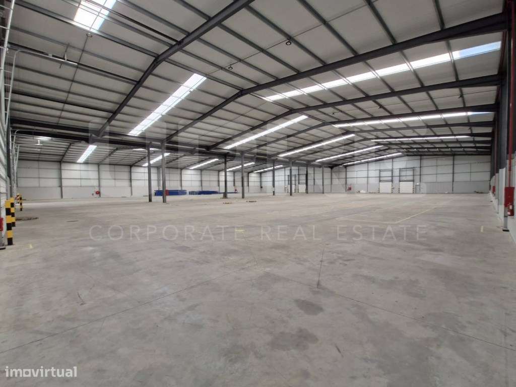 Armazém Logístico | ARRENDA | Aveiro (ZI Esgueira) - Grande imagem: 2/5