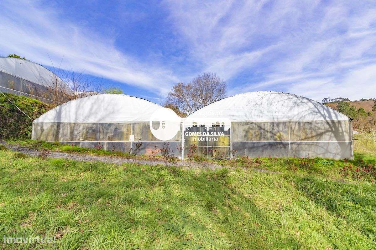 Quinta com duas casas e exploração agrícola em Fafe - Grande imagem: 2/29