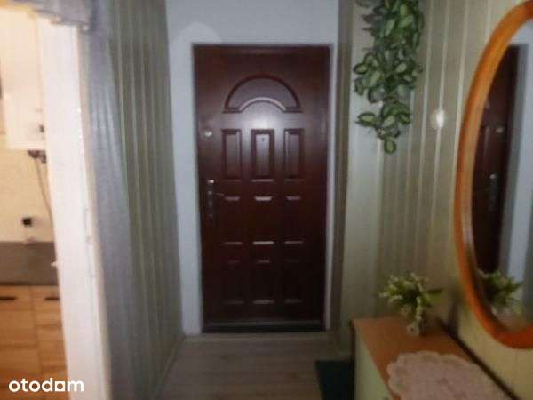 Lokal użytkowy, 352,57 m², Radom-7