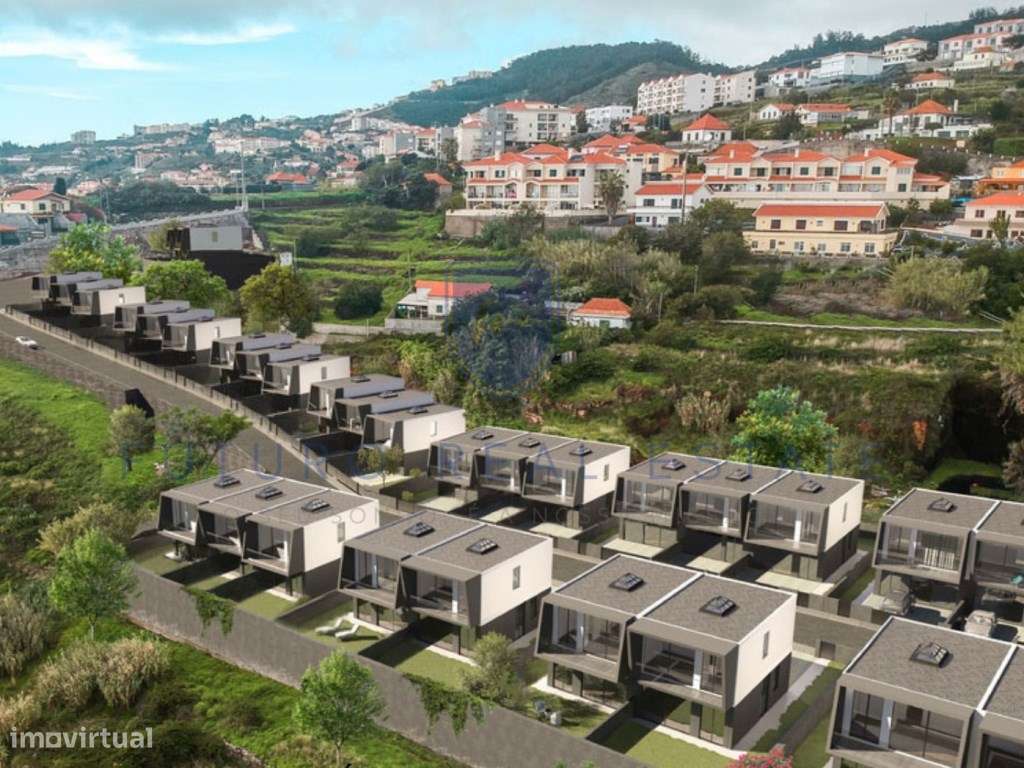 BOX | CANIÇO | MÃE DE DEUS - Grande imagem: 5/6