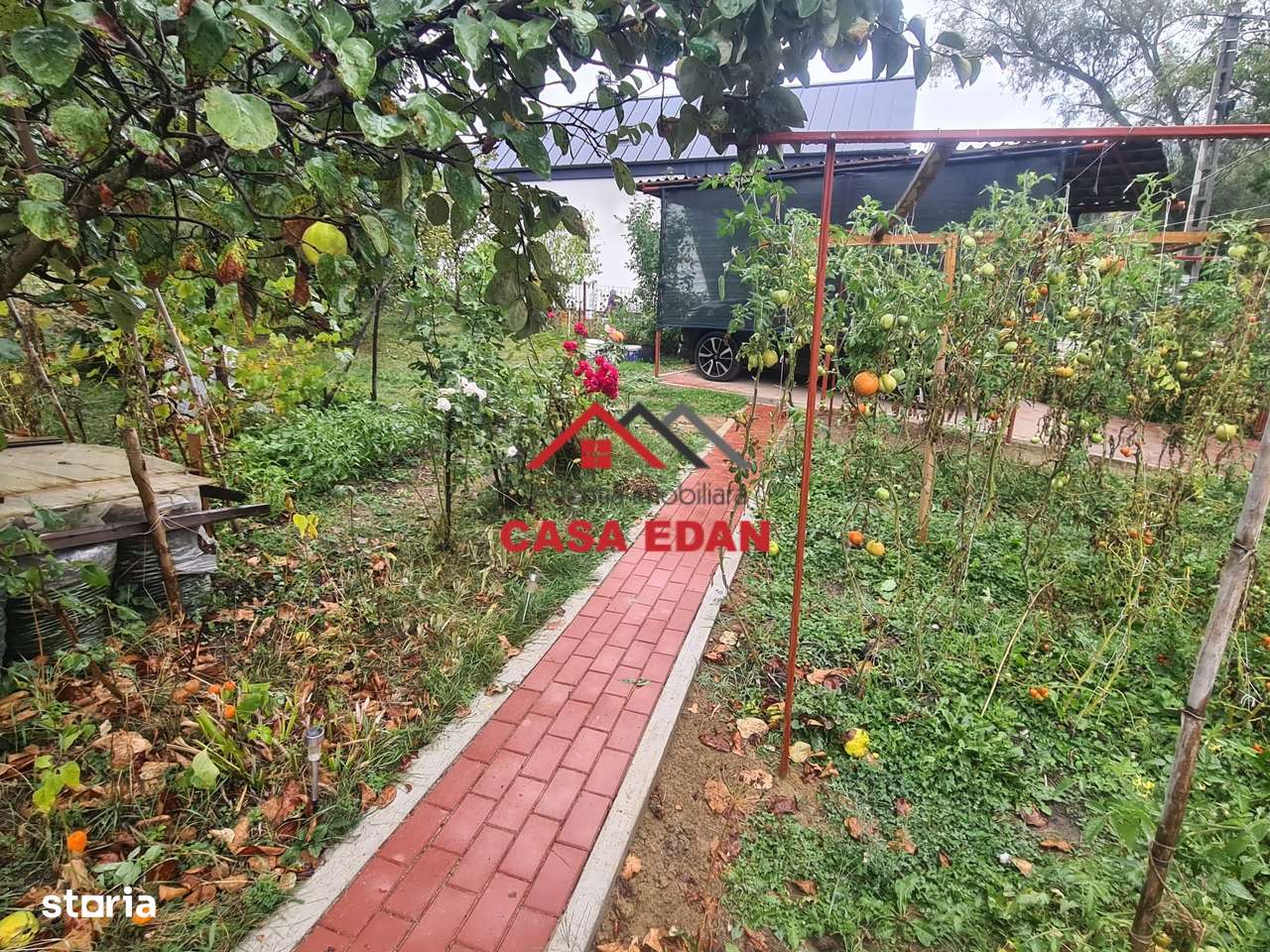 Casa in Provita--95.000e-5