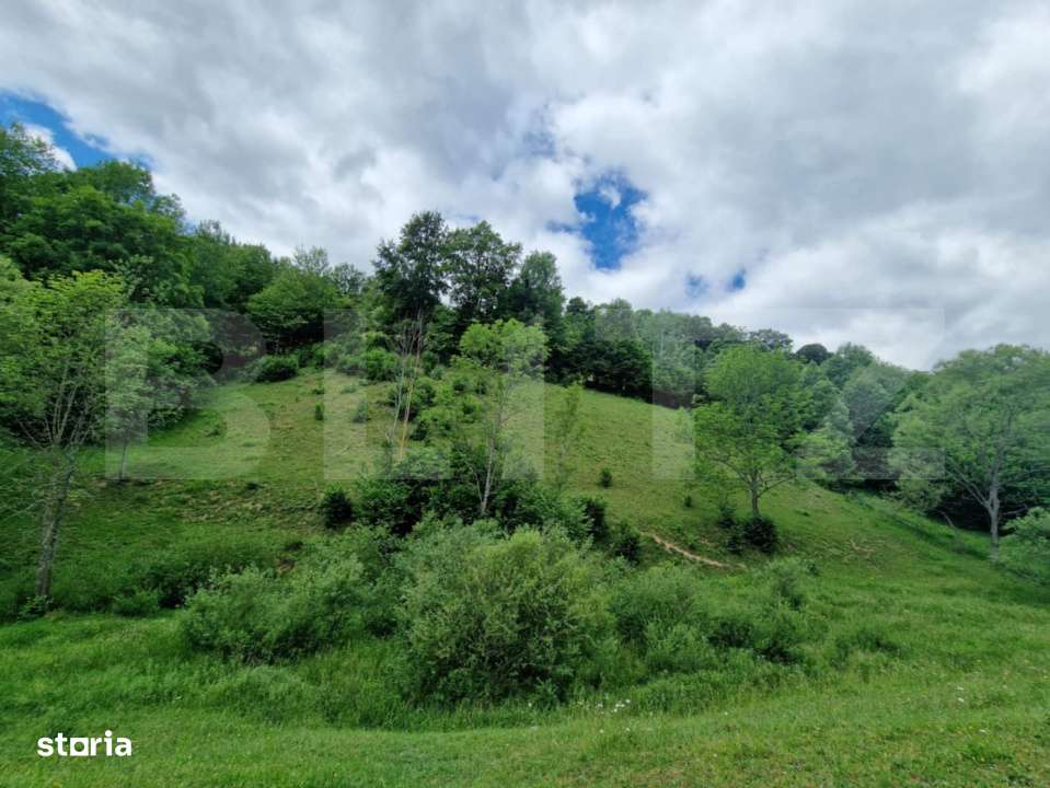 Teren extravilan de 14331 mp, zona montana, Certege, Campeni - Imagine principală: 4/7