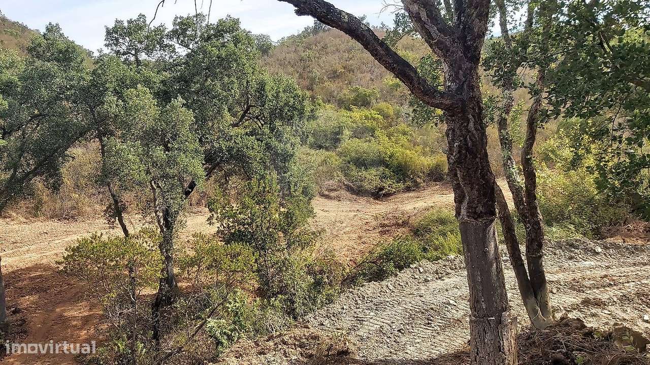 Terreno  para venda - Grande imagem: 4/8