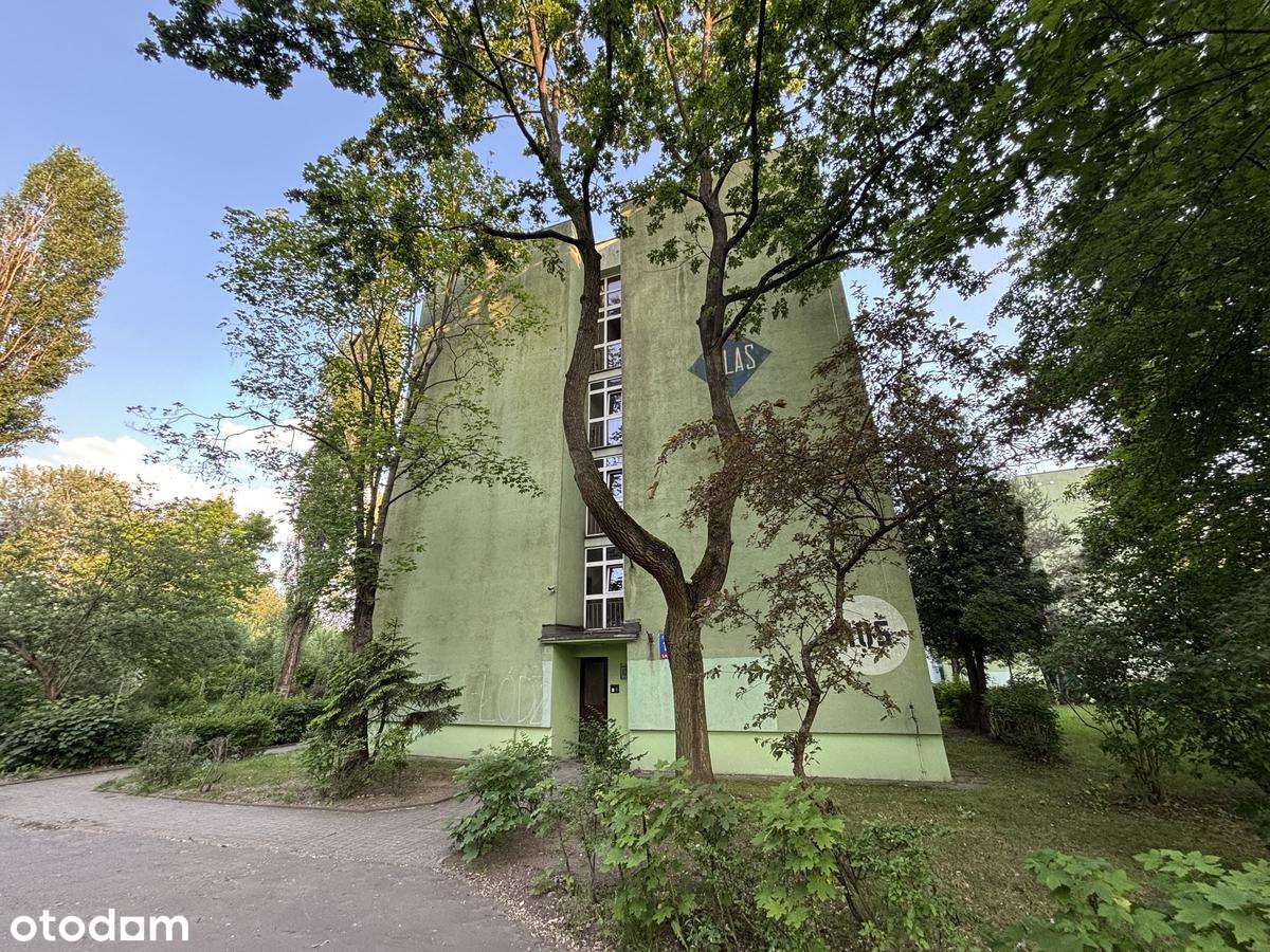 Mieszkanie do remontu 46,14 m2, 2 pokoje, Łódź-Górna-9