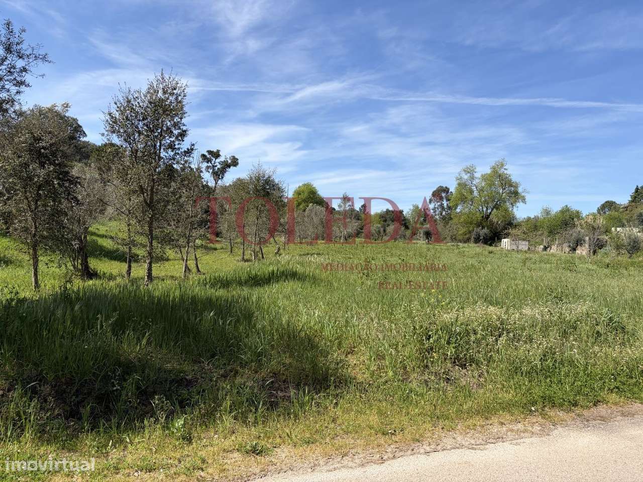 Quintinha em Tomar com 2 casas-53