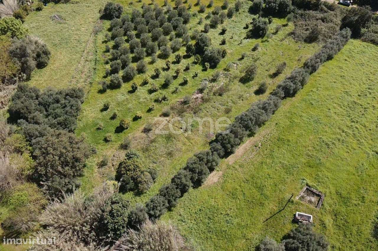 Terreno Rústico com 760m2 em Ribeira de Arade, Messines - Grande imagem: 5/15