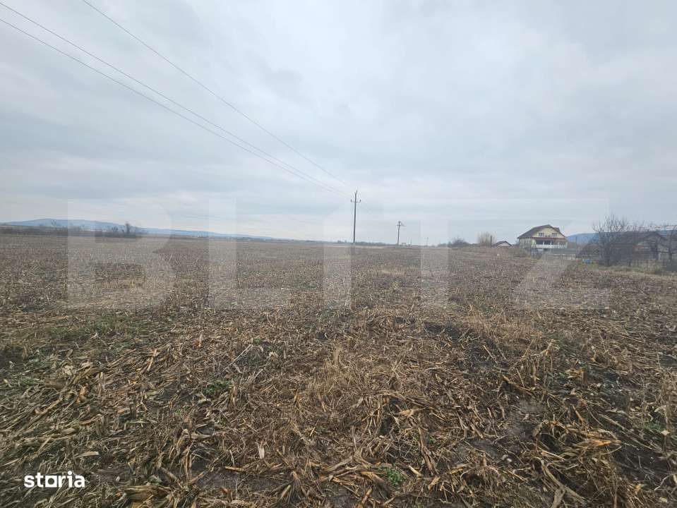 Teren extravilan 9000 mp, Ocna Mureş - Imagine principală: 2/3