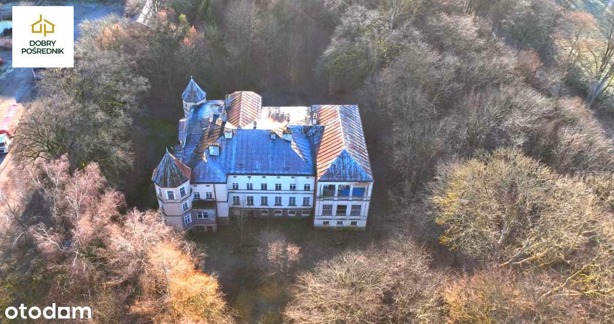 Pałac | Pomorskie | Działka 3100 m2 - Pełny obrazek: 4/19