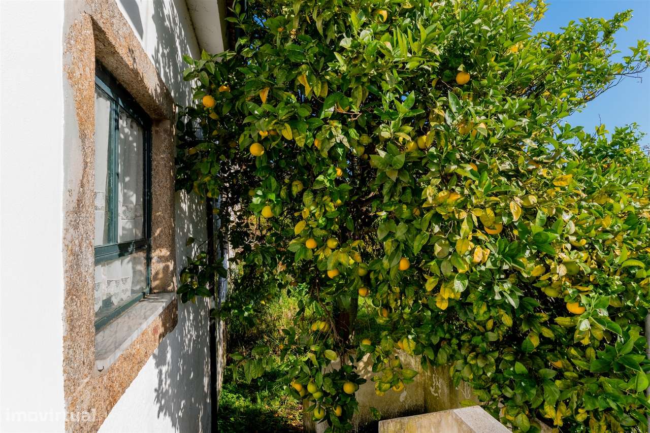 Moradia Isolada T2 Venda em Lobão, Gião, Louredo e Guisande,Santa Mari-18