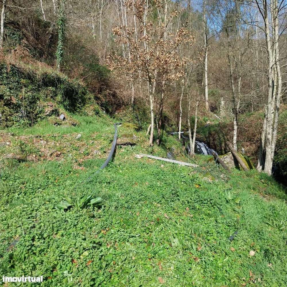 Quintinha com 1103m2 para recuperar - Grande imagem: 4/23