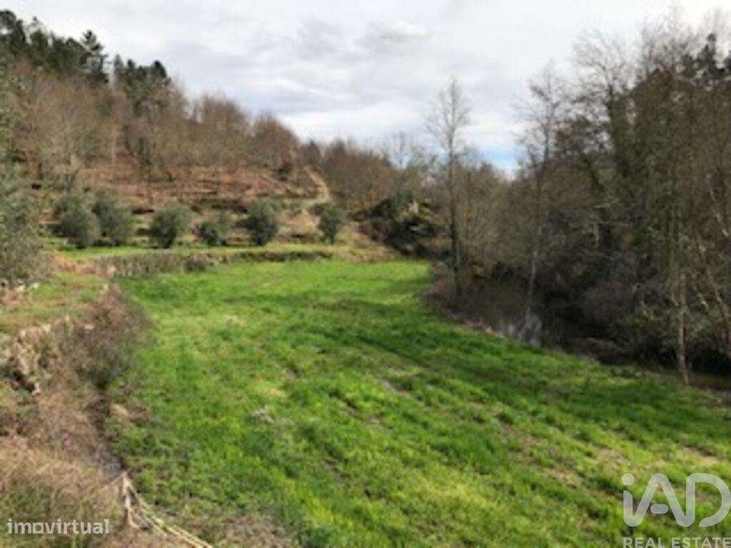 Terreno em Parada de Gonta de 100000,00 m2 - Grande imagem: 3/14