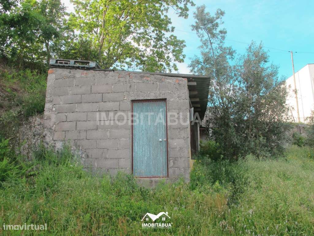 Terreno rústico de 8000 m2 com viabilidade de construção a cerca de...-8