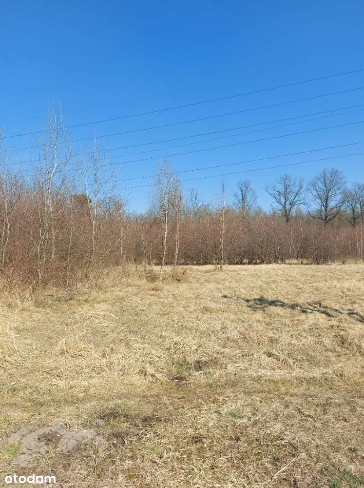 pod lasem - Pełny obrazek: 5/10