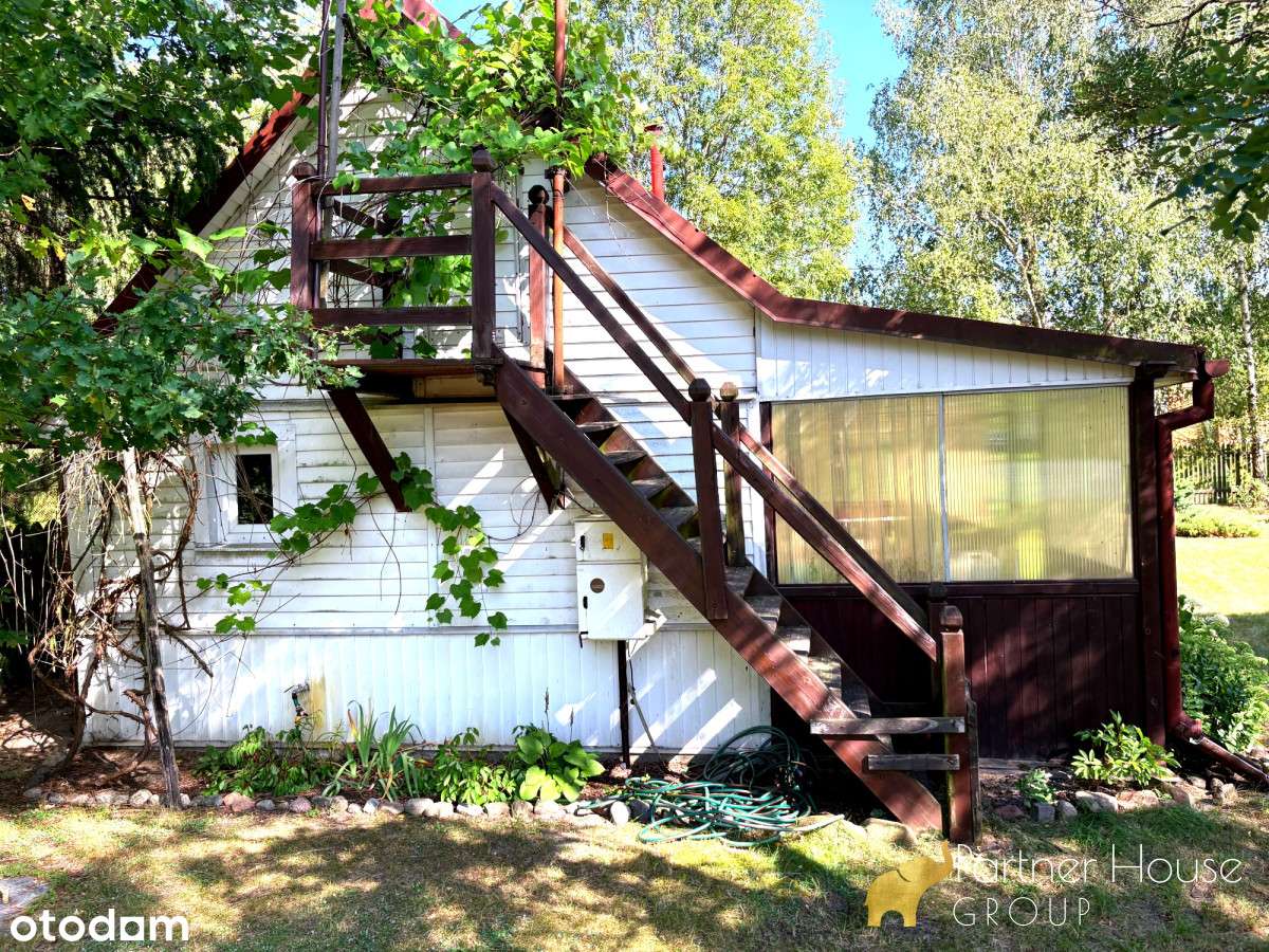 Rzeka Bug/Las/Media/Natura - Pełny obrazek: 5/12