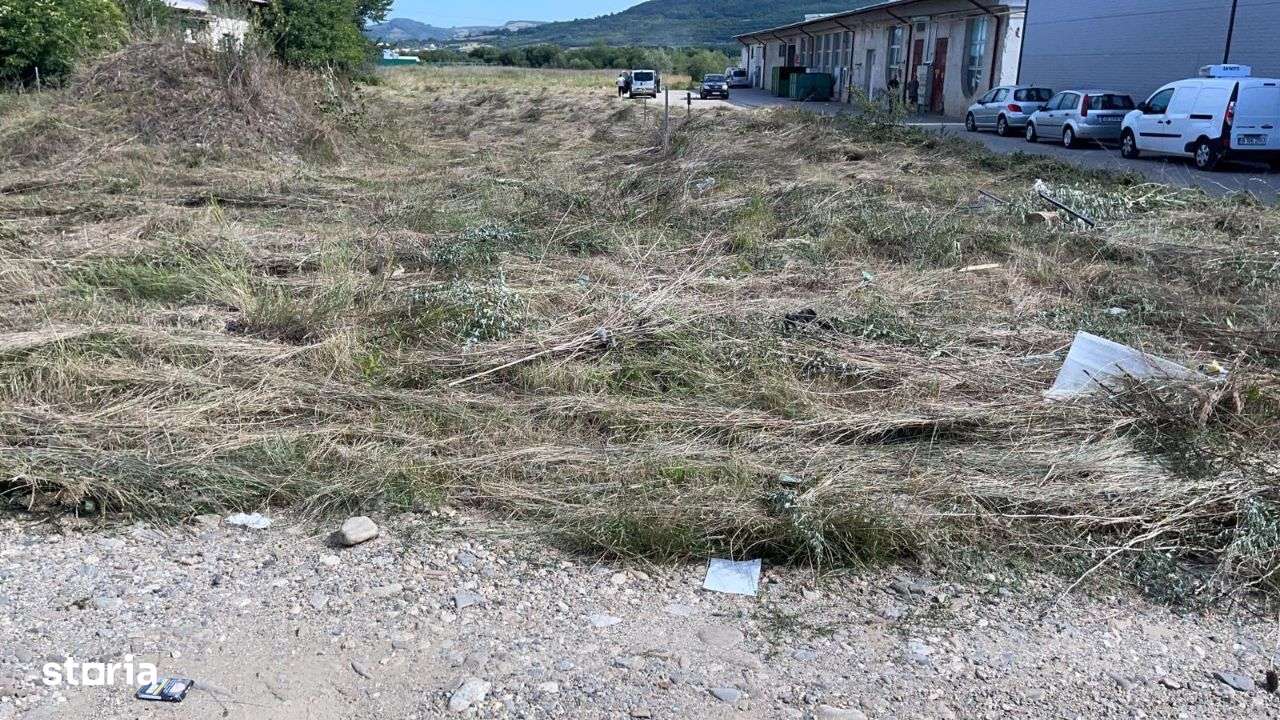 Teren intravilan de vanzare - 10.000 mp - Str. Stefan cel Mare - Sibiu-4