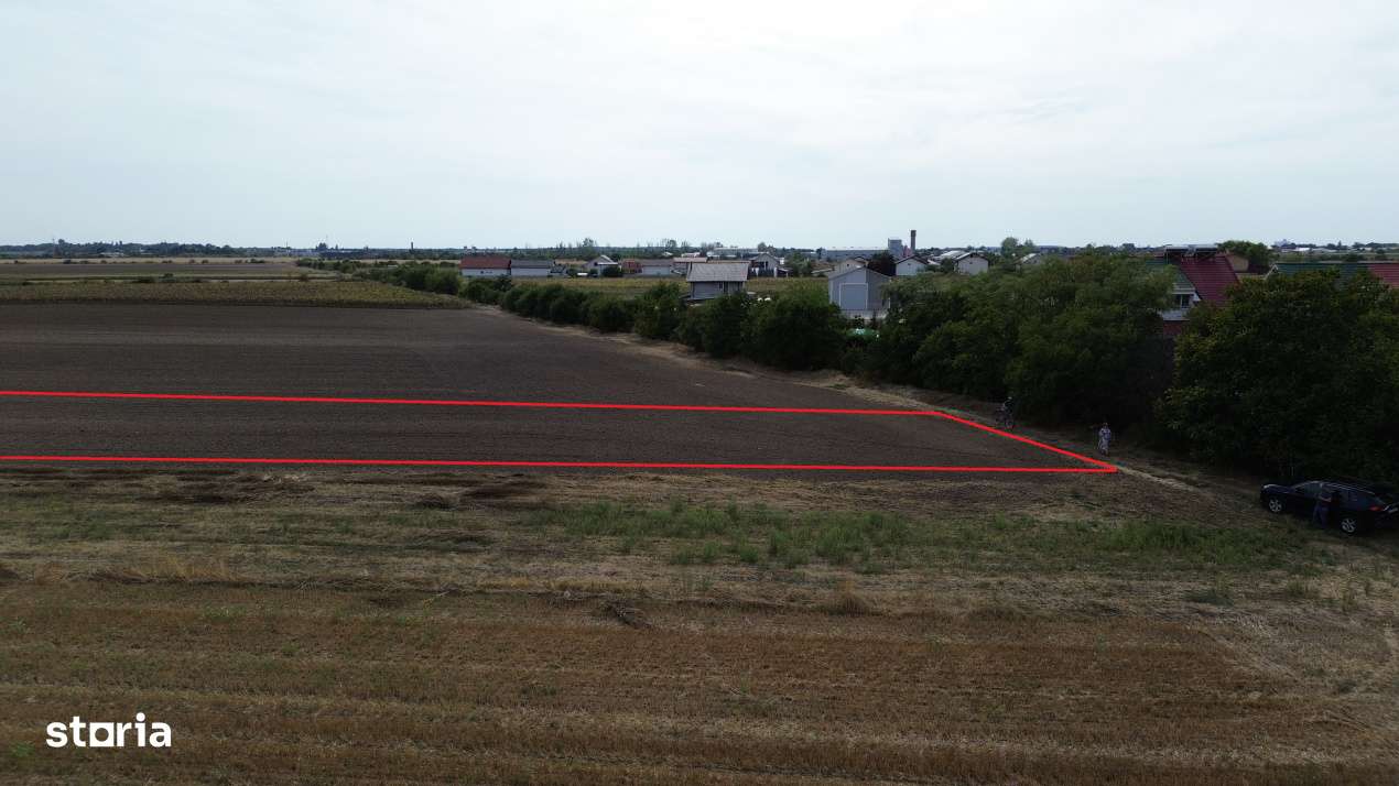 Teren intravilan 6000 mp Darza 13E/mp deal pentru case, ferma, product - Imagine principală: 3/7