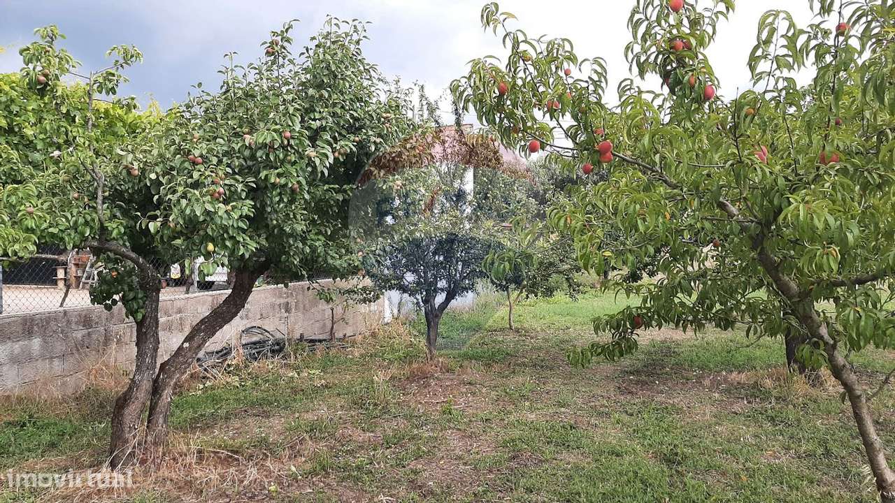 Terreno  para venda - Grande imagem: 5/14