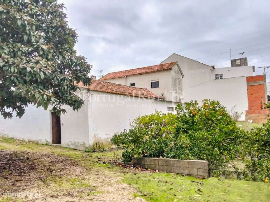 Quinta com 13.000 m² e 3 Moradias no Cartaxo, Póvoa da Isenta-13