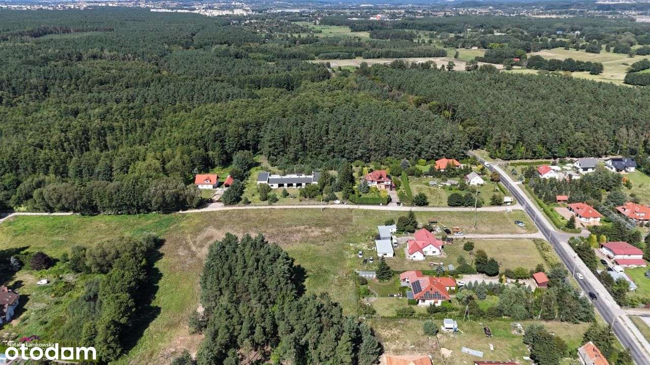 Działka, 3 000 m², Linarczyk - Pełny obrazek: 4/8