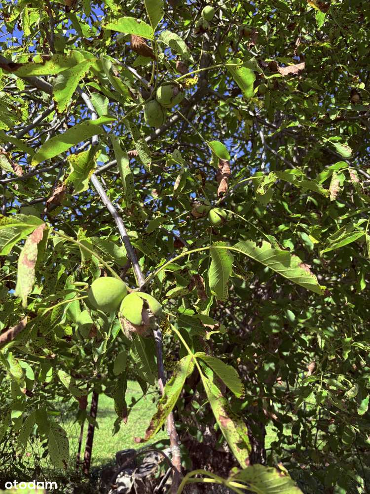 [REZERWACJA] Dom,działka 1900 m²|2 Garaże|Fotowoltaika, Klimatyzacja|-15