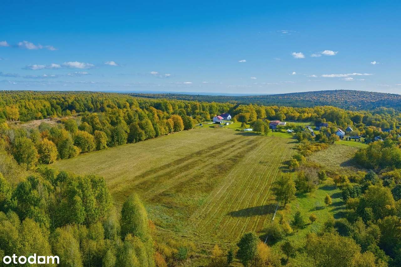 Siedlisko na szczycie Mazowsza – 3,8 ha z potencjałem rozwoju.-6