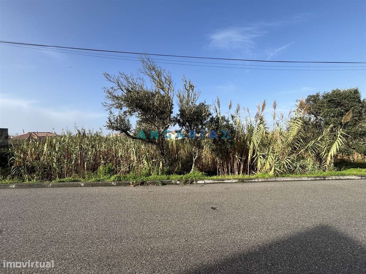 ANG1522 - Terreno para Venda em Praia do Pedrógão, Leiria - Grande imagem: 4/15