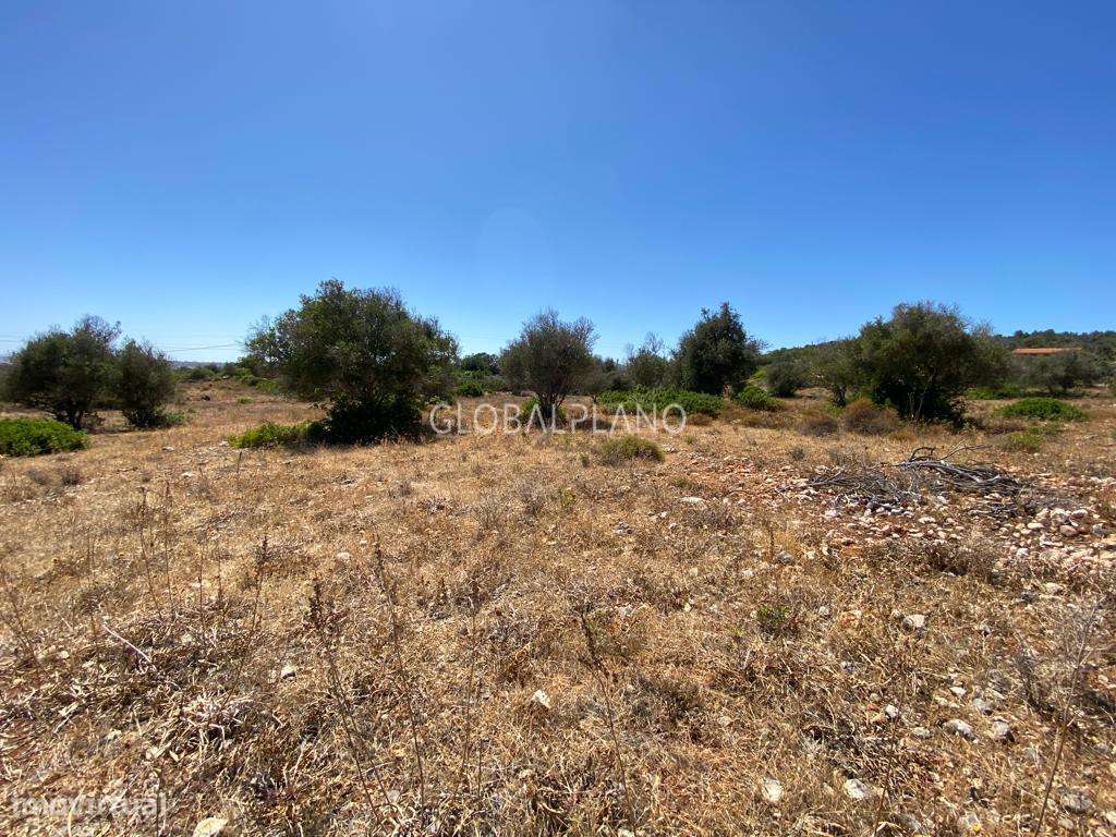 Fantástico terreno rural com viabilidade de construção - Grande imagem: 4/7