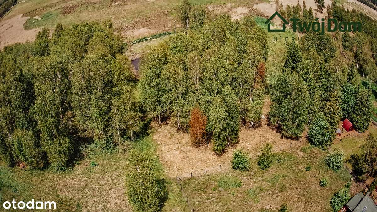 Nieruchomość gruntowa w Szczechach Małych - Pełny obrazek: 4/6