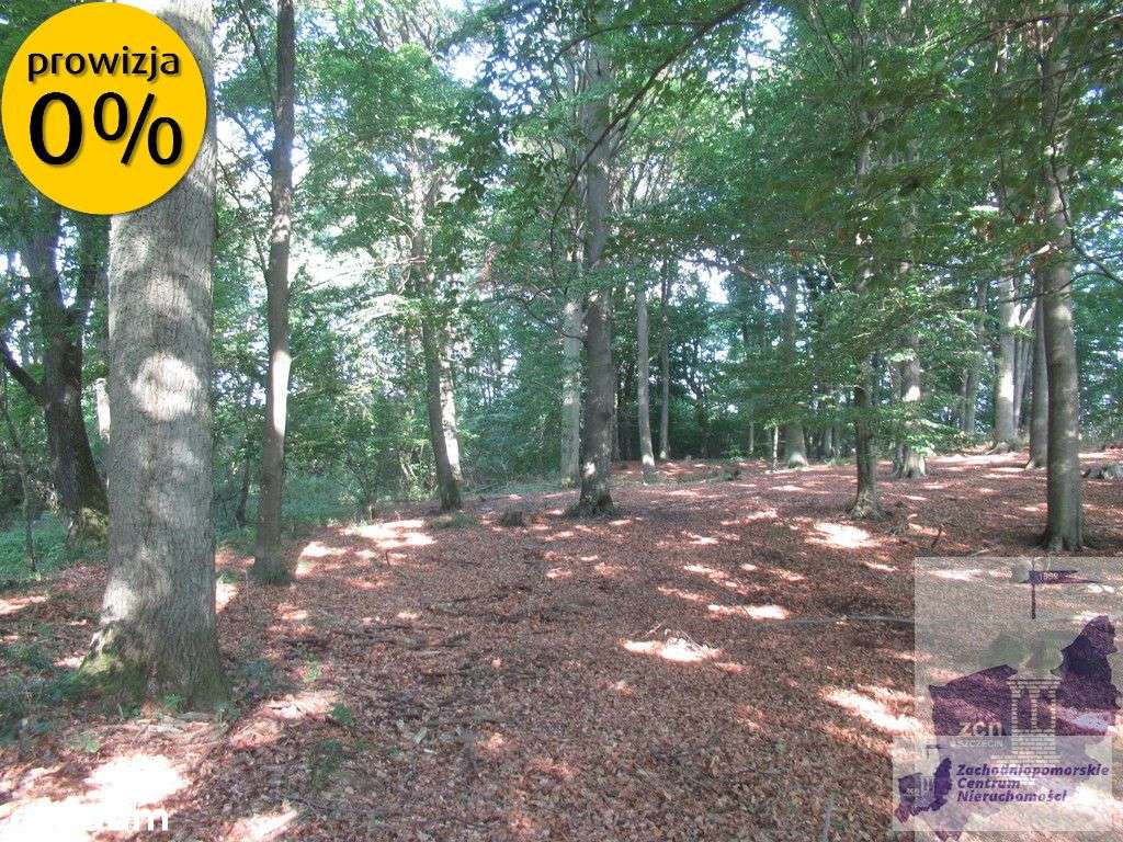 Działka nad jeziorem Woświn-6