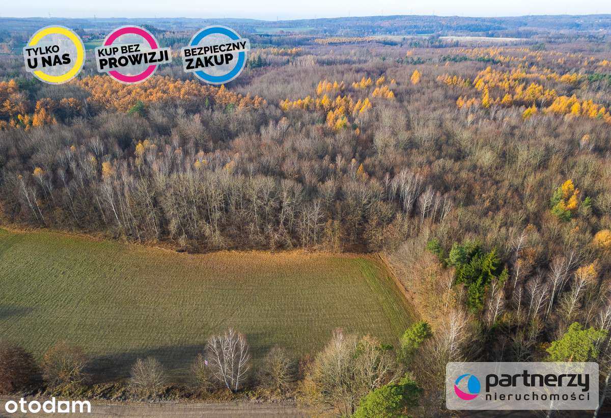 Działka Warcz, powiat gdański 11 070 m² - Pełny obrazek: 5/15