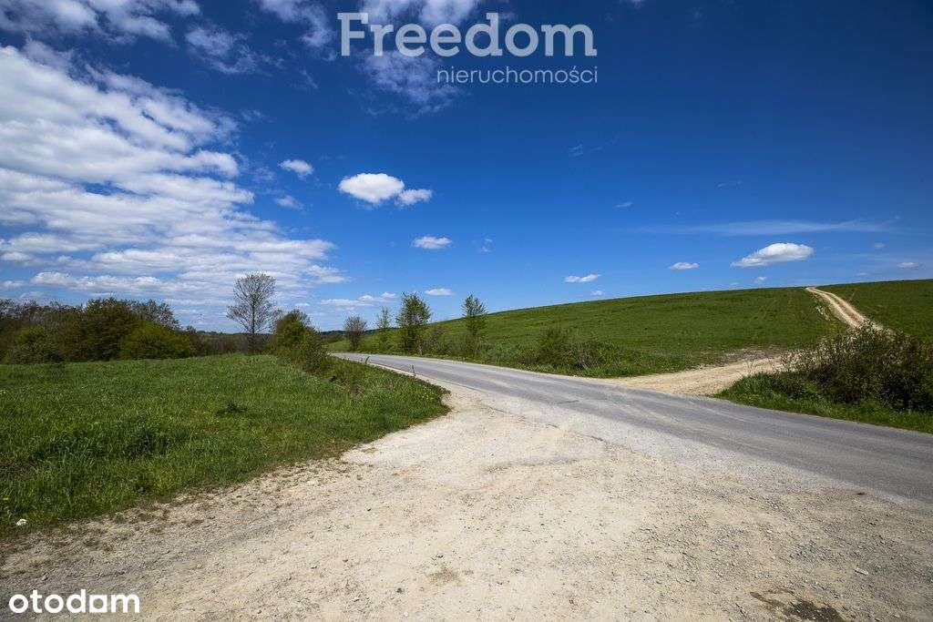 Działka rolno-rekreacyjna 50ar–Końskie, gm. Dydnia - Pełny obrazek: 5/11