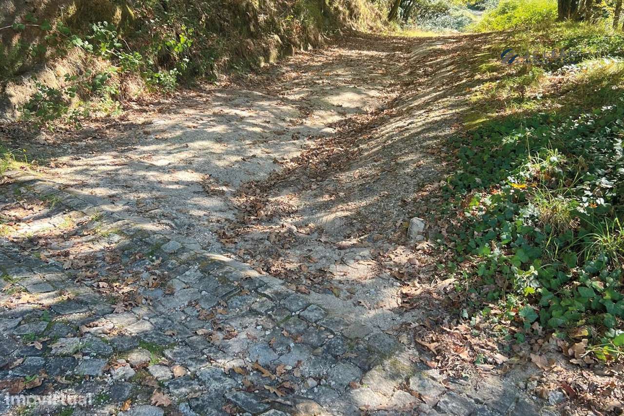 Terreno Agrícola 10.400 m² – Rebordosa, Paredes-12