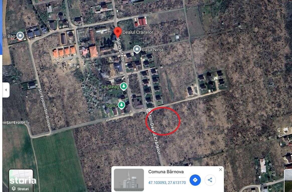 Teren 500 mp intravilan Dealul Craitelor Visan ,toate utilitatile - Imagine principală: 2/2