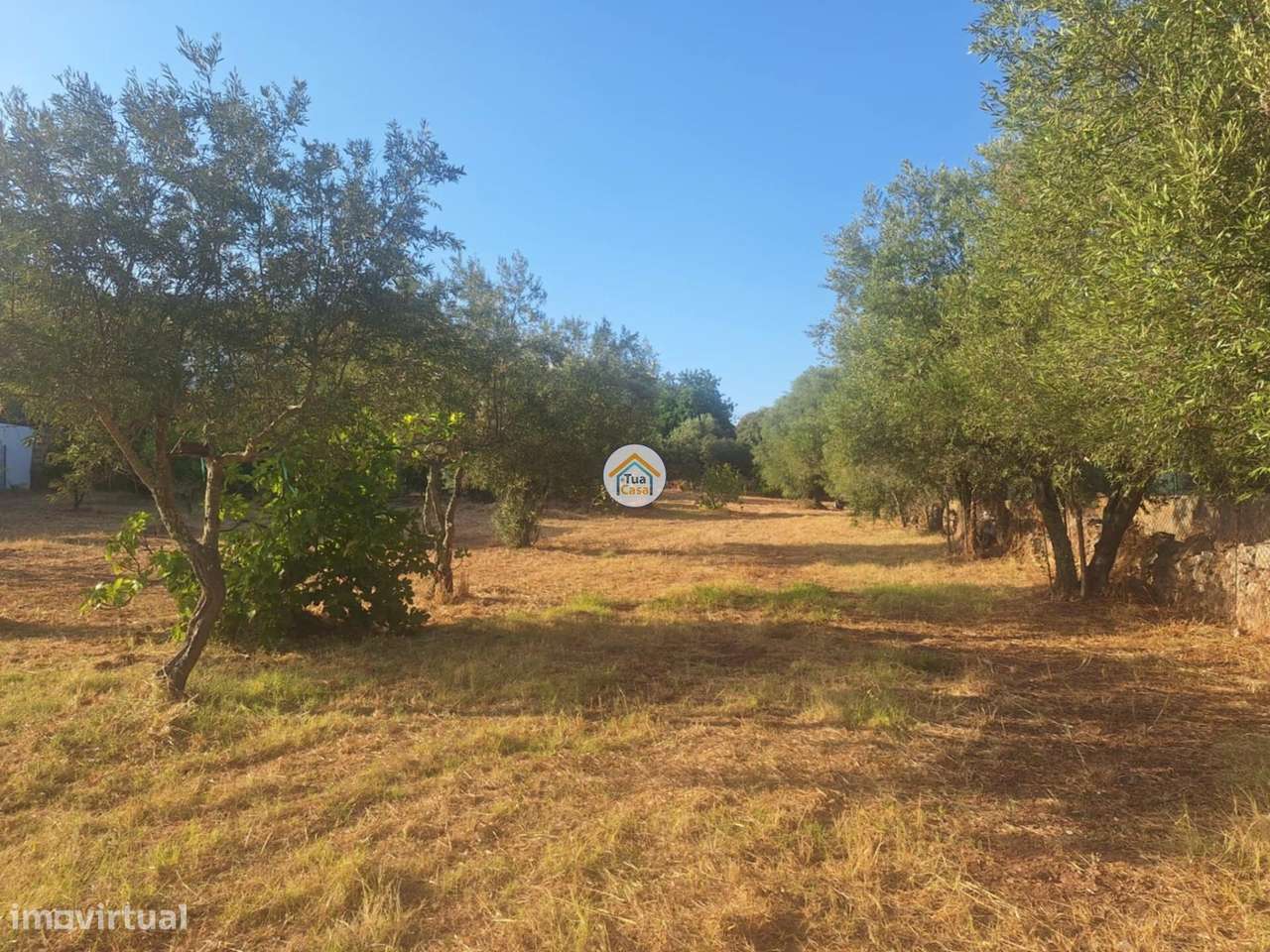 Excelente terreno com viabilidade de construção - Grande imagem: 3/15