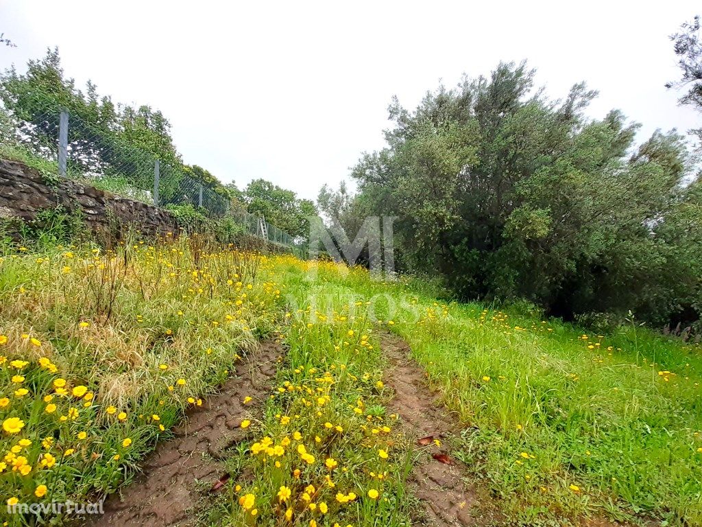 Terreno para construção em Santa Mart...