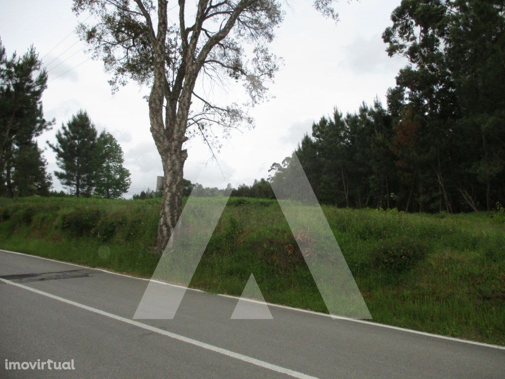 Terreno nos arredores de Oliveira do Bairro