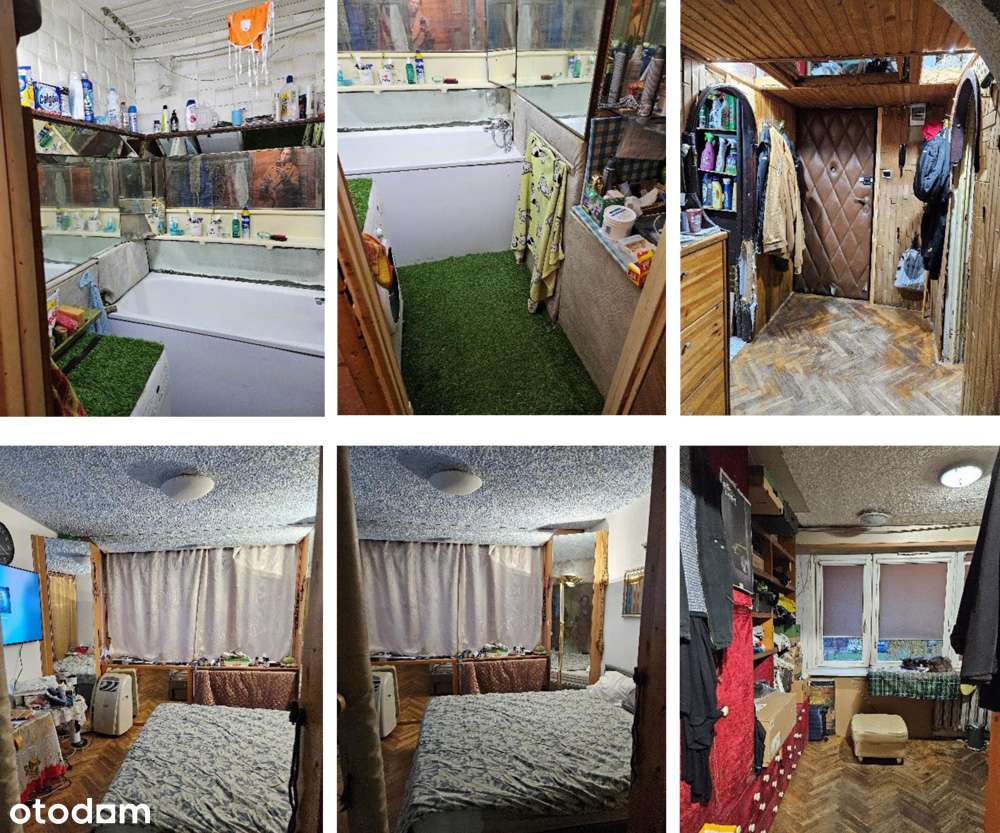 Spółdzielcze prawo do lokalu - Łódź, ul. Czajkowskiego - udział - Pełny obrazek: 4/6