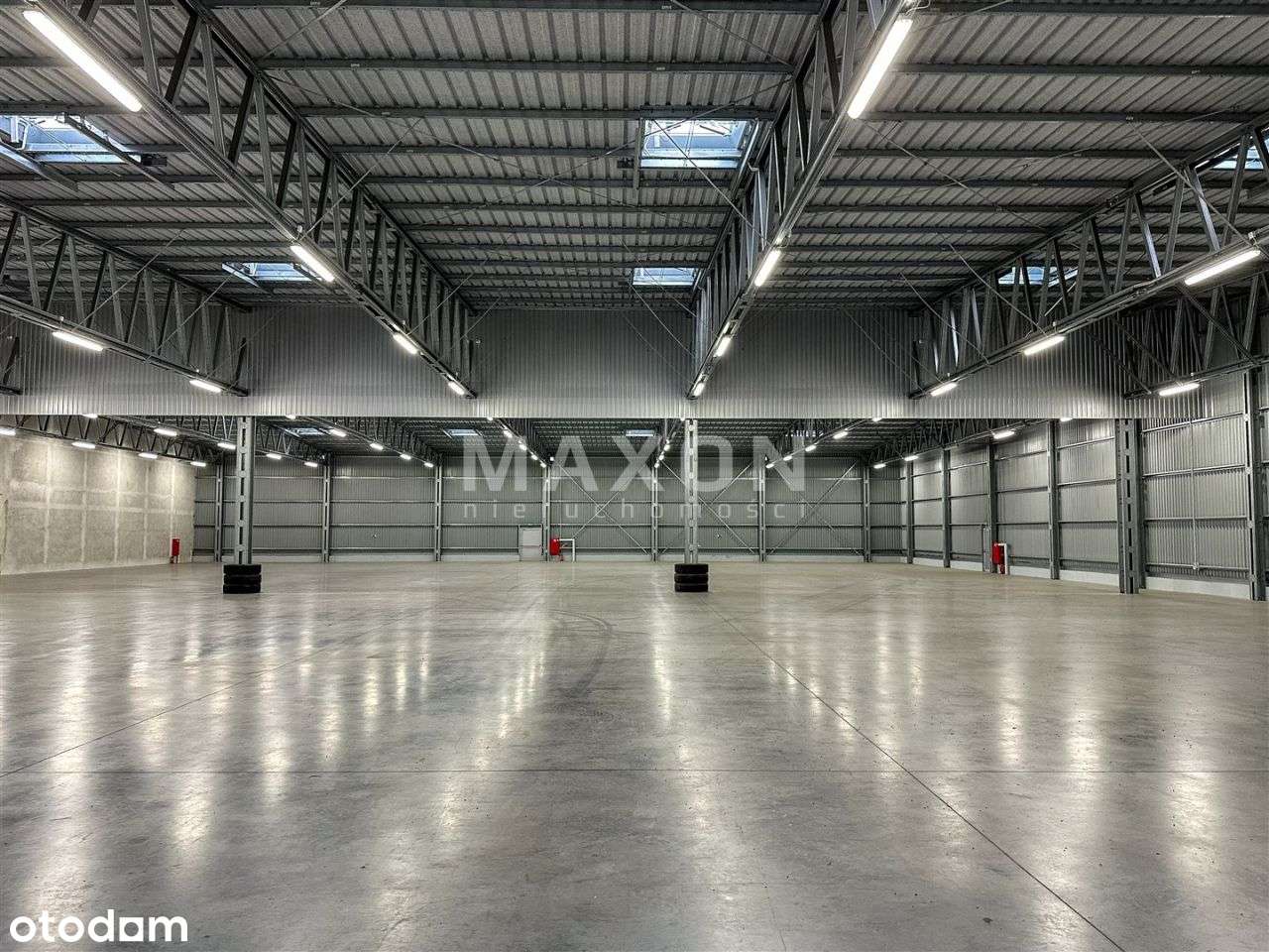 Hala magazynowa / Woc / Doki / pow. 4000 Mj - Pełny obrazek: 3/6